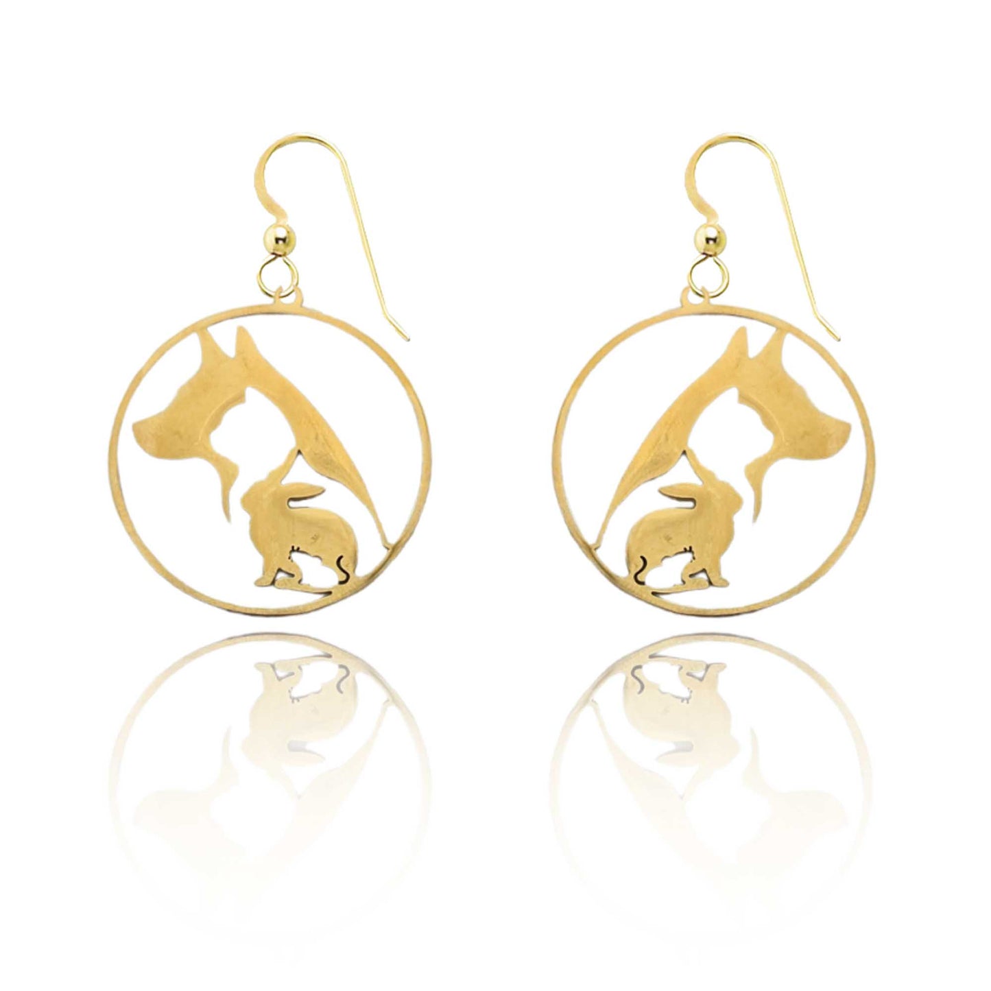 Veterinarian Earrings