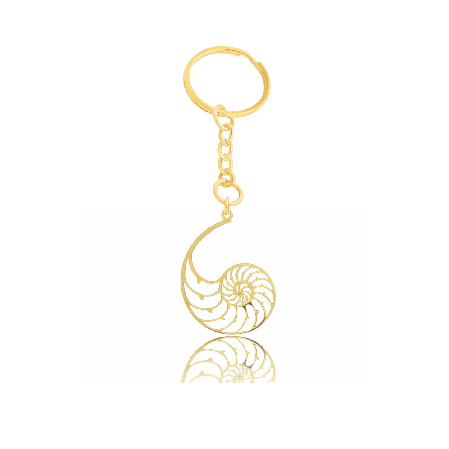 Shell Jewelry