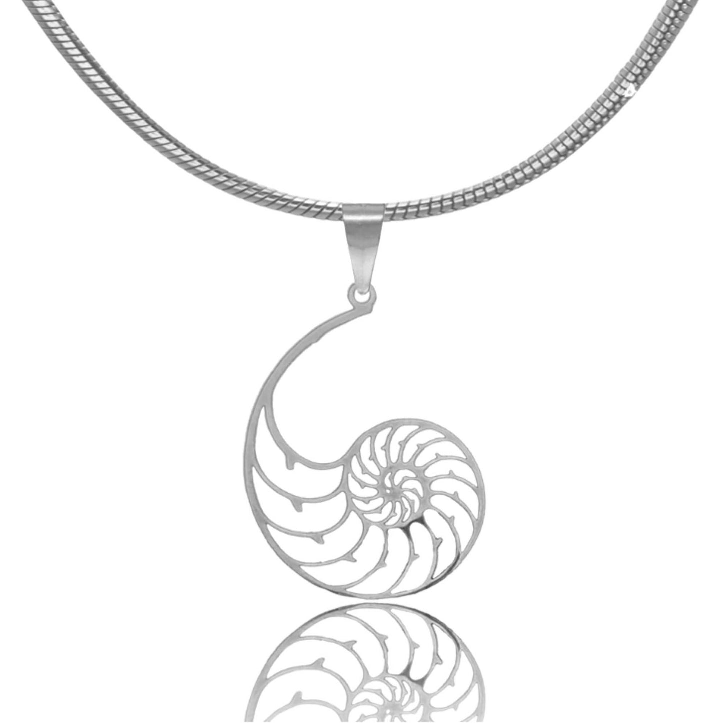 Shell Jewelry