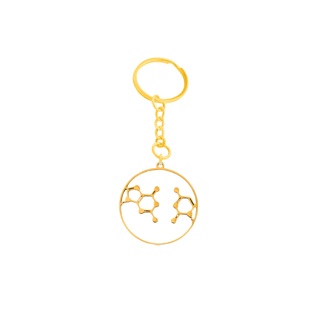 DNA Base Pair Molecule Jewelry