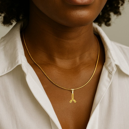 Antibody Jewelry