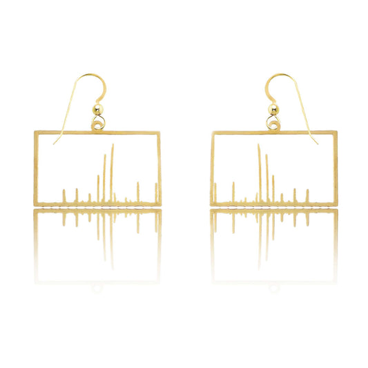 NMR Earrings