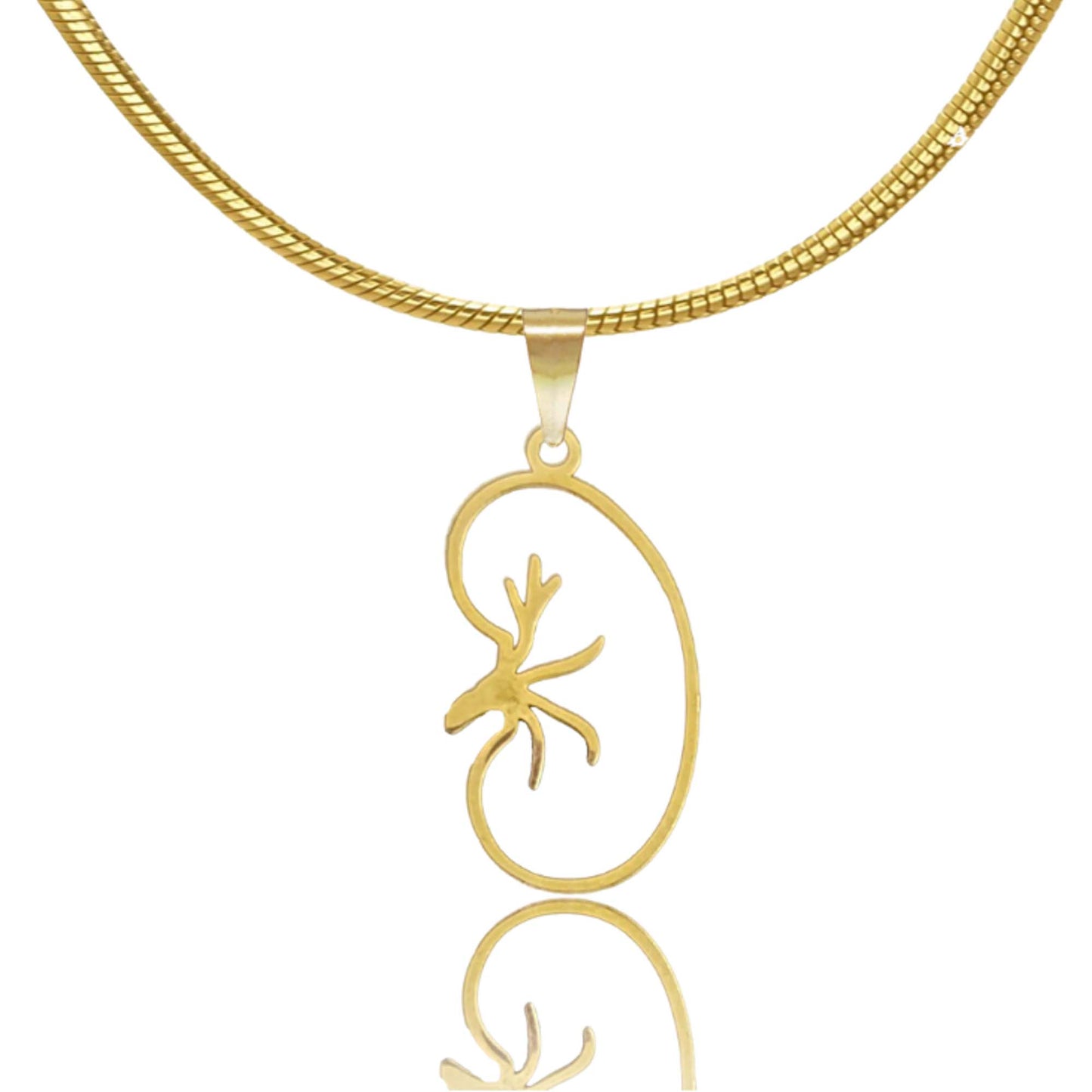 Kidney Necklace
