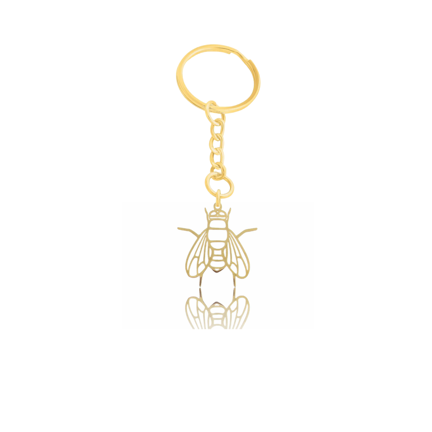 Drosophila Jewelry