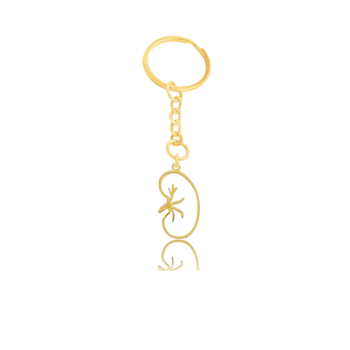Kidney Jewelry