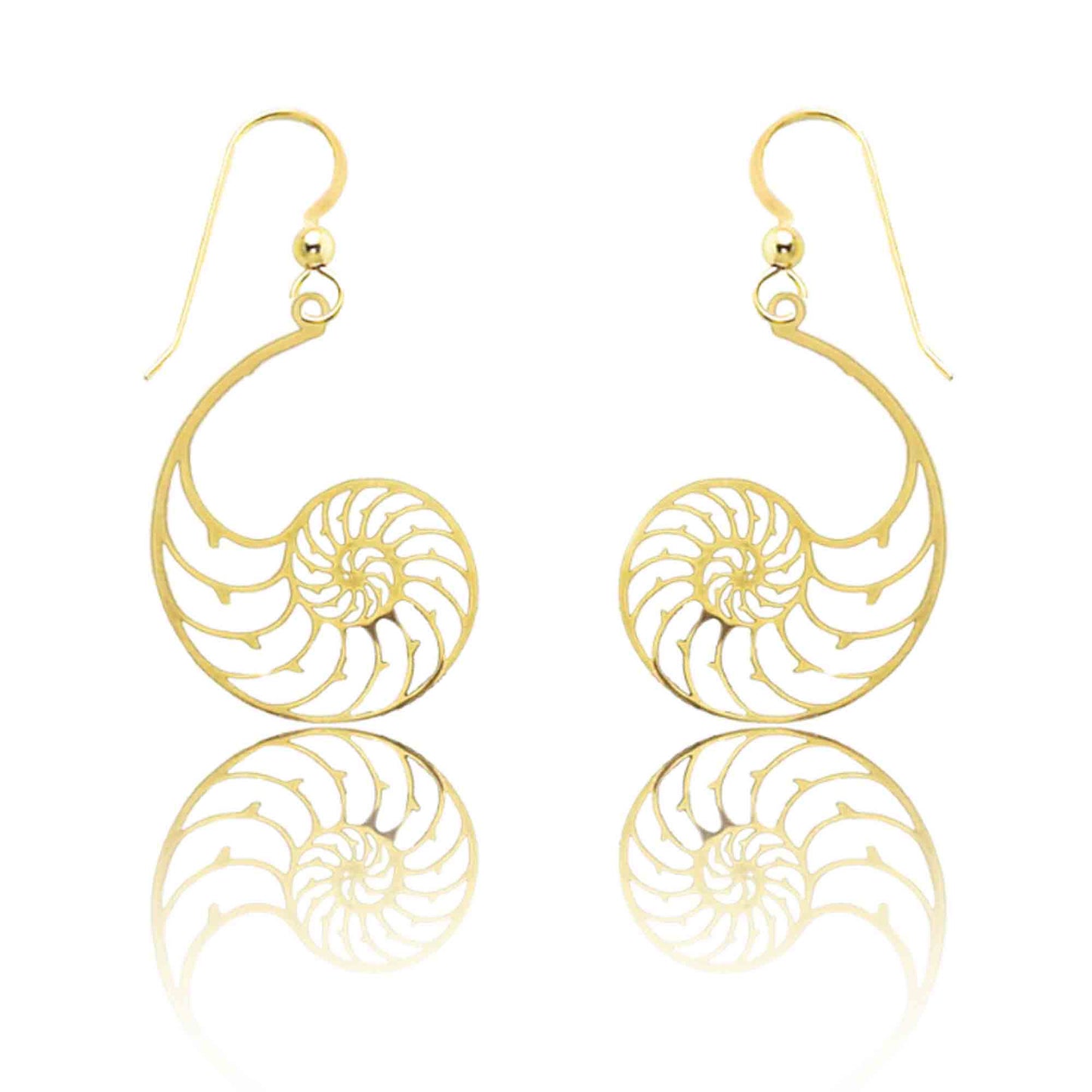 Shell Jewelry