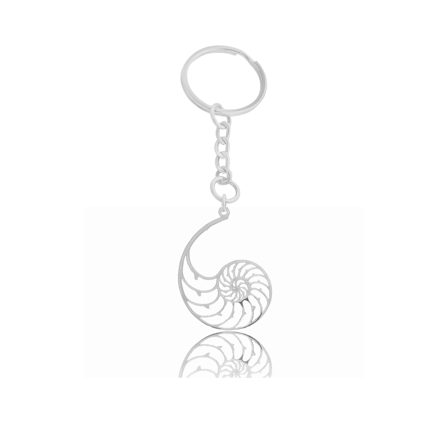 Shell Jewelry
