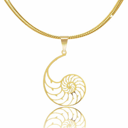 Shell Jewelry